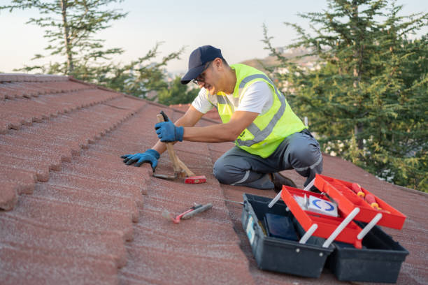 Best Storm Damage Roof Repair  in Panhandle, TX