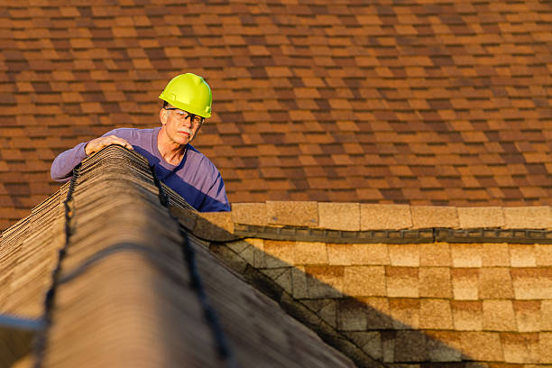 Roof Gutter Cleaning in Panhandle, TX